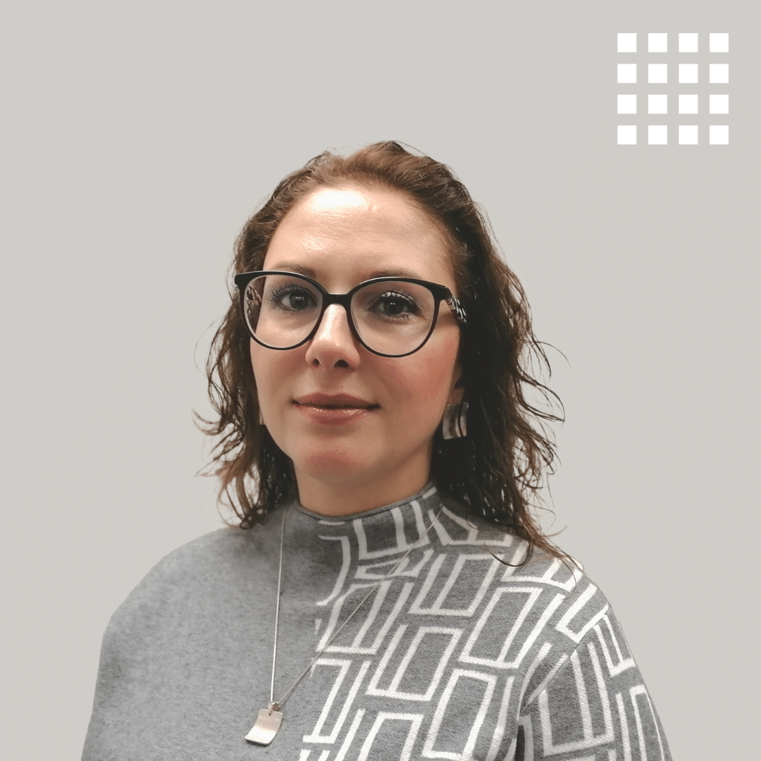 lidia microsoft dynamics 365 business central professional